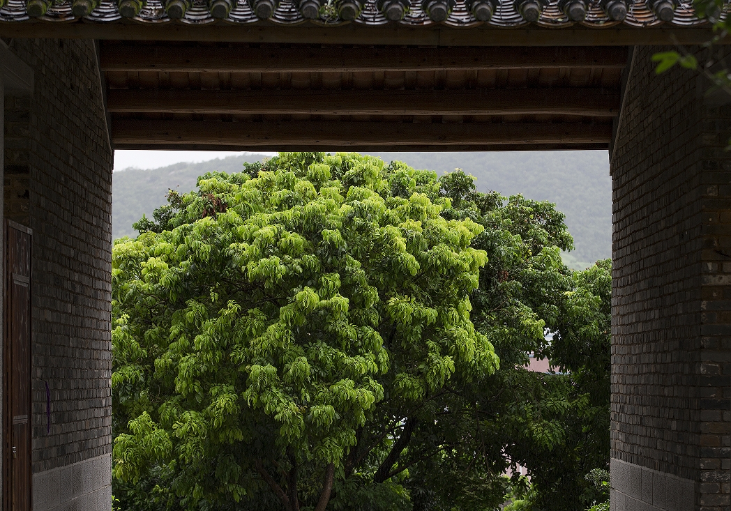 【包团定制】<深圳大鹏一日游>深圳福田岗厦幼儿园---春游定制活动方案