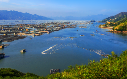-潮汕漳州龙岩四天纯玩之旅