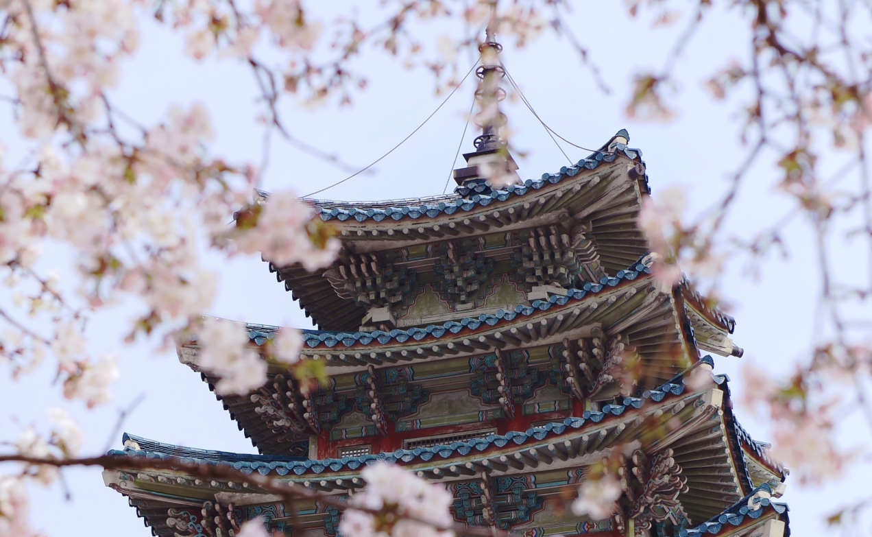 【别样陕西】 西安+华山+韩城+壶口 全景双飞 5 天 4 晚 精品团
